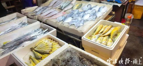 海鮮組合裝價(jià)格跳水，消費(fèi)者餐桌迎來“鮮”機(jī)